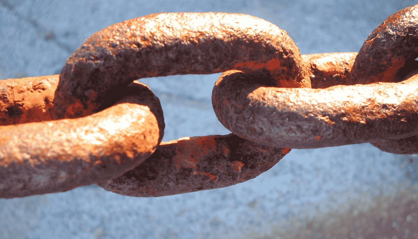 Sich auf LinkedIn verifizieren lassen und Ihre E-Mail BIMI verifizieren lassen